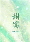 甜窝小说